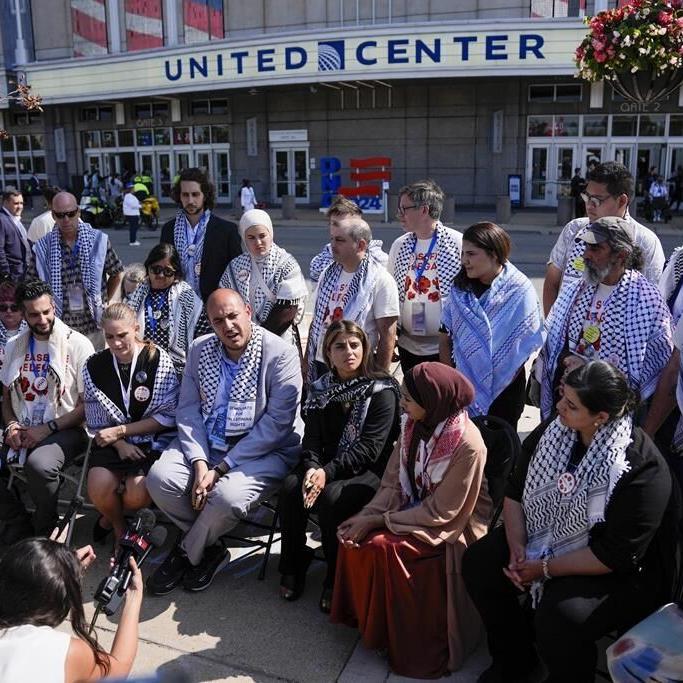 Harris confronts Democratic divisions over Gaza war in convention speech